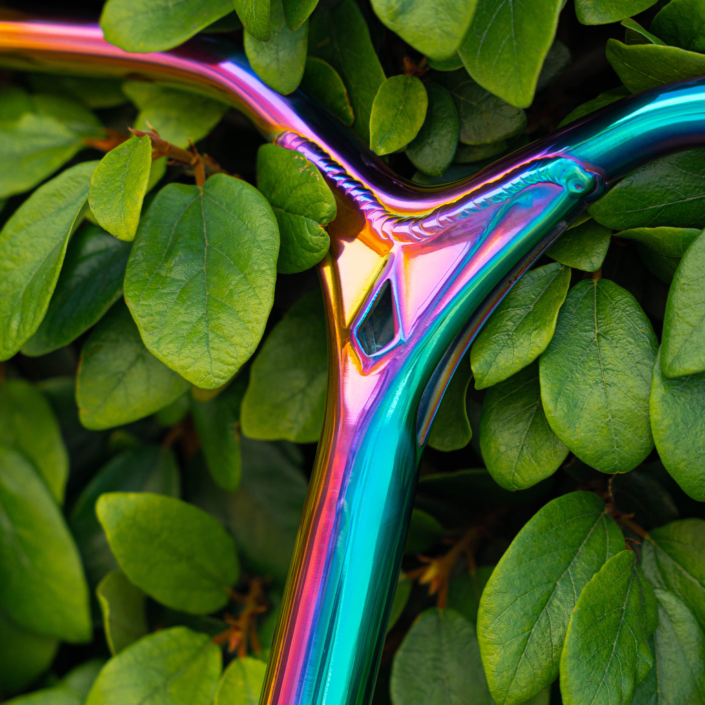 Color:Oil Slick