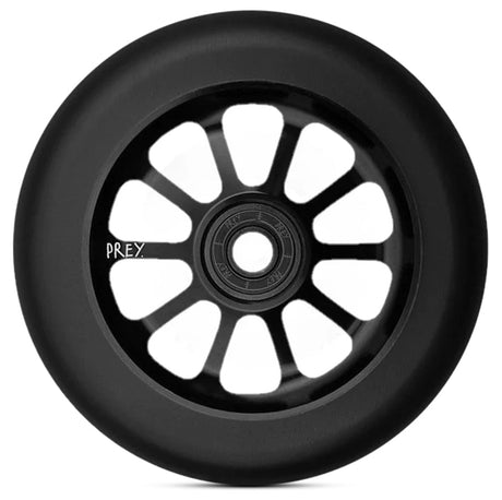 color:Black