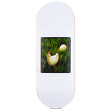 Red Wolf Fingerboard Deck - Chicken