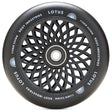 color:black