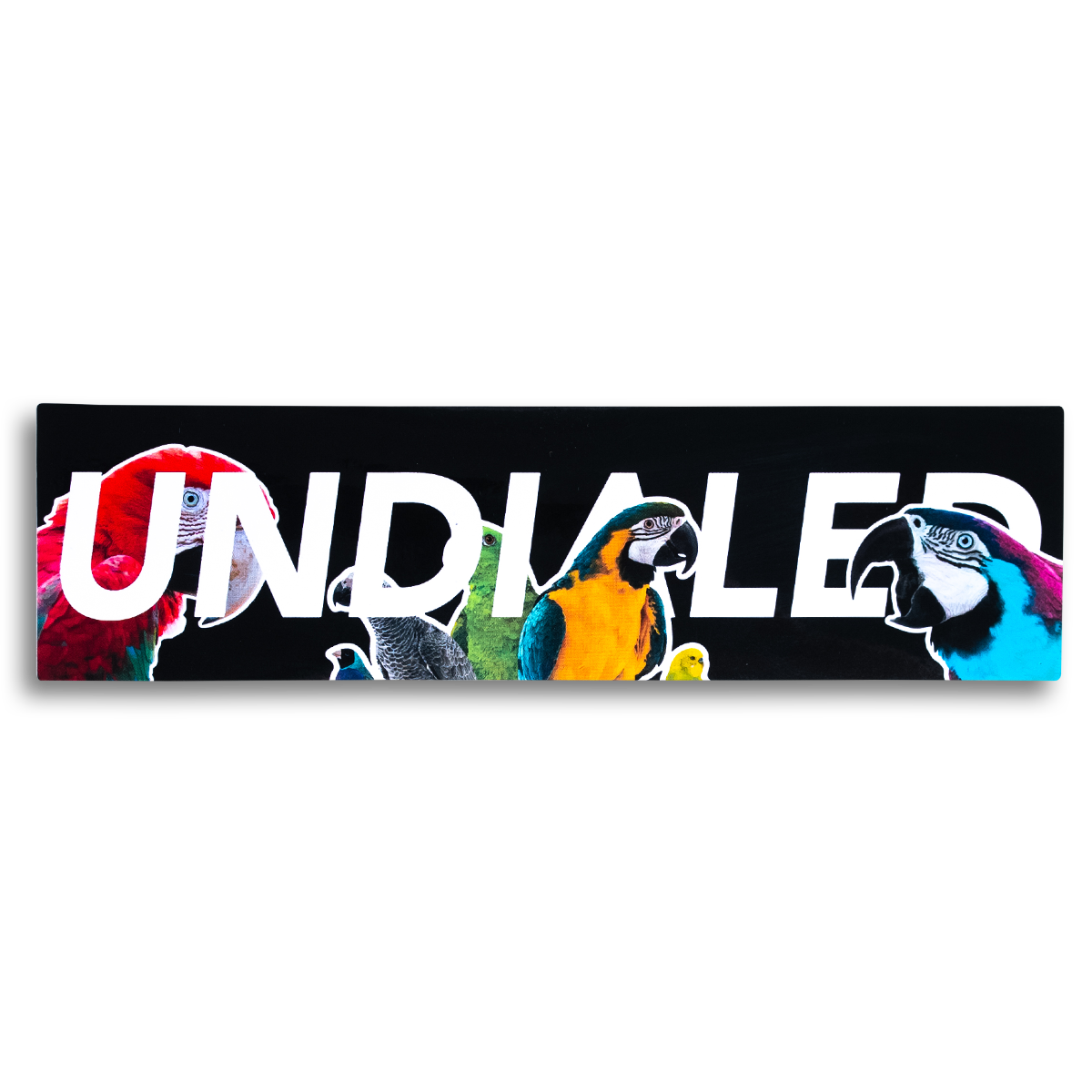 Undialed Boxed Sticker - Parrot