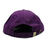 Slushcult Cotton 6 Panel Hat - Wiz