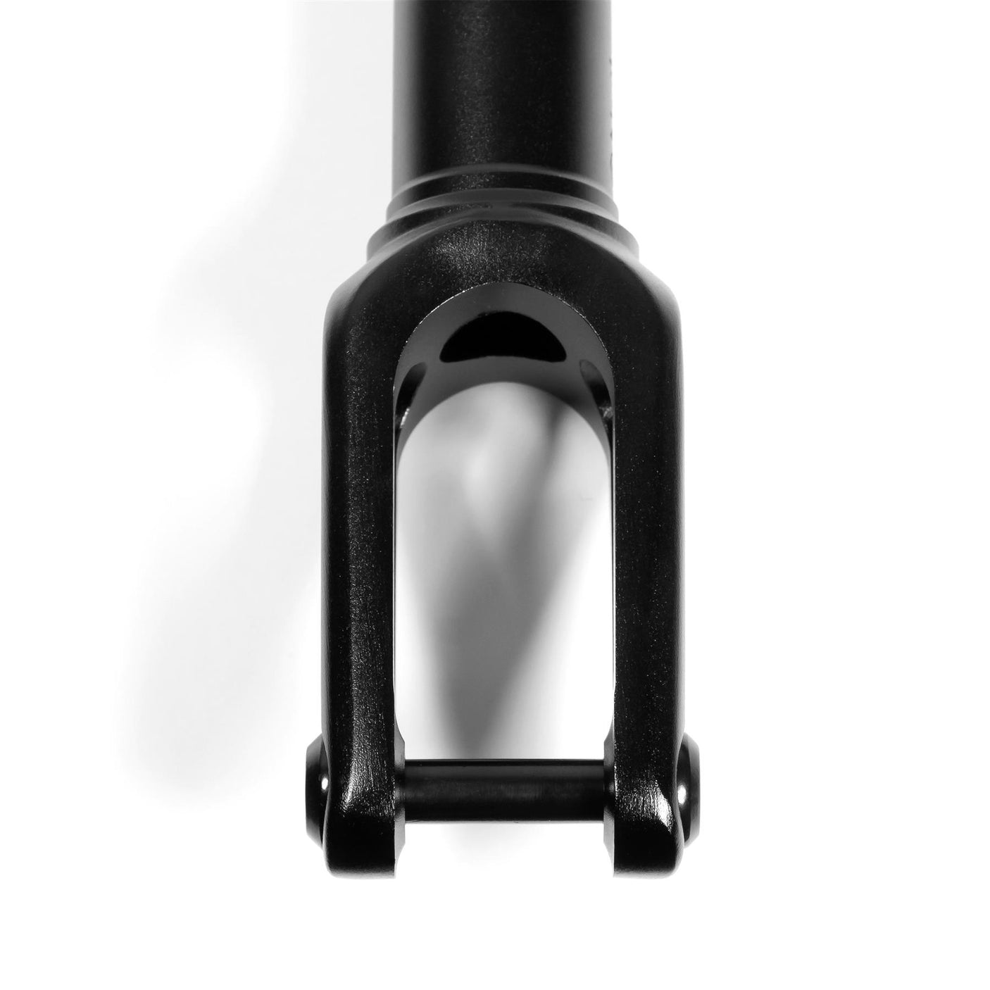 North LT Fork