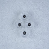 Maple Bowl Fingerboard Wheels