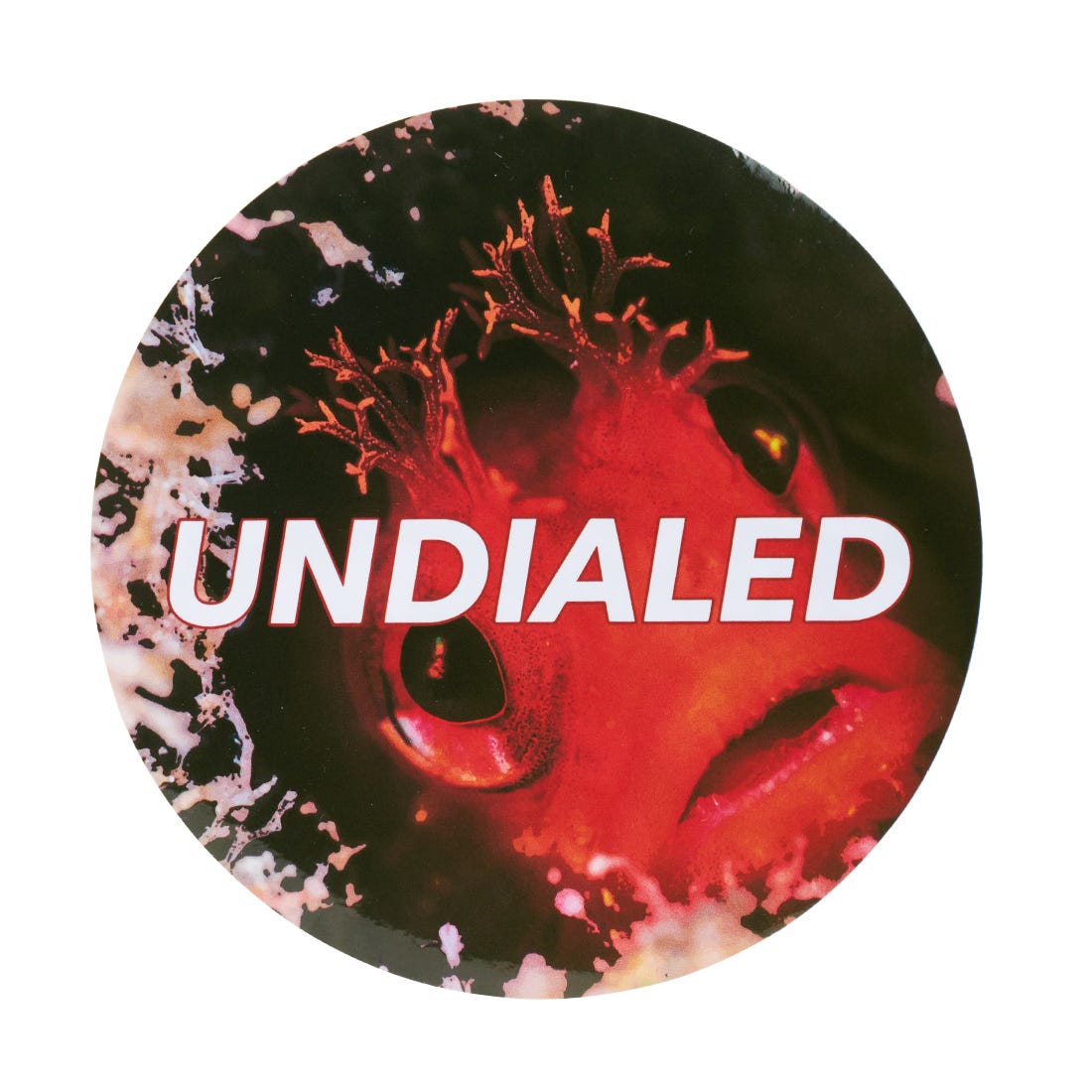 Undialed Circle Sticker - Seems Fishy